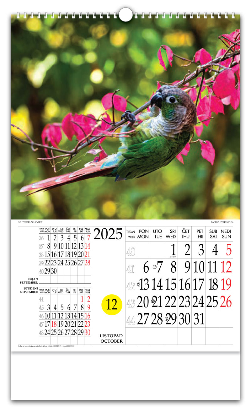 Rotacijski zidni kalendar - "Sa cvijeta na cvijet" - Slika 10