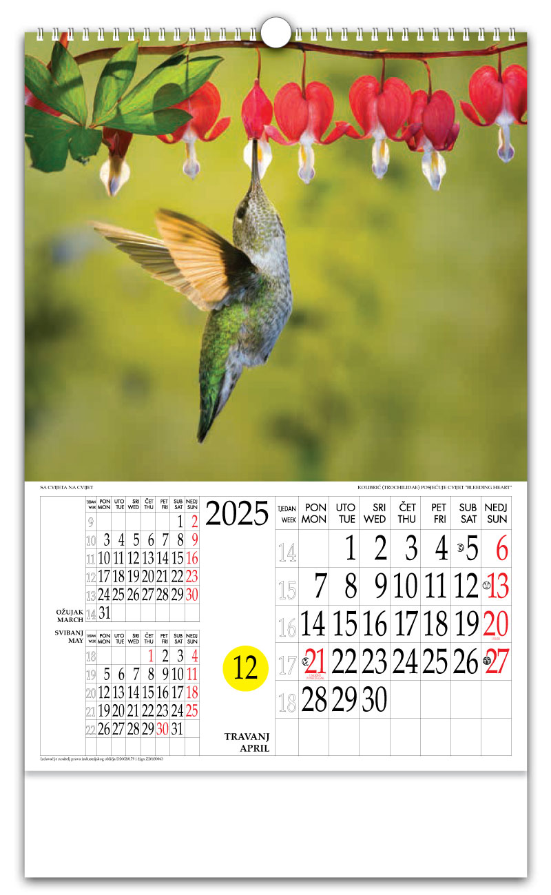 Rotacijski zidni kalendar - "Sa cvijeta na cvijet" - Slika 4