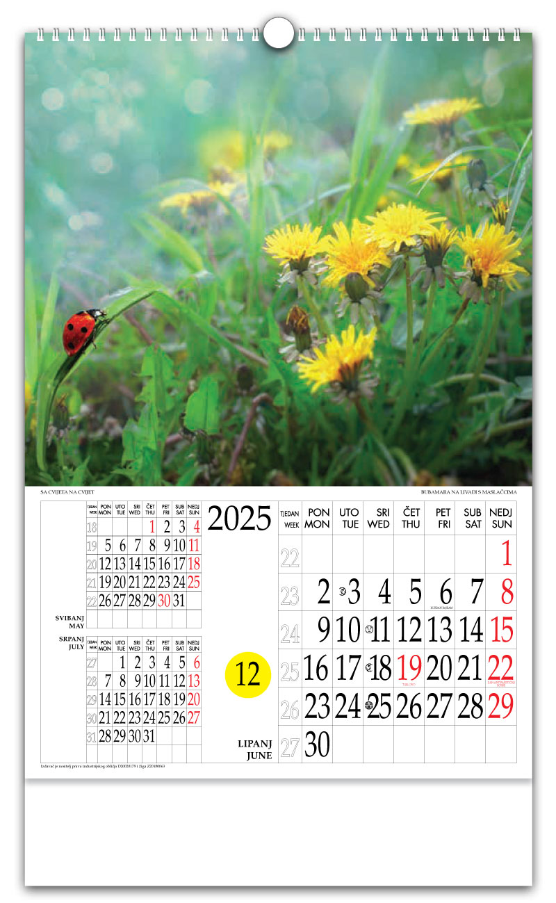 Rotacijski zidni kalendar - "Sa cvijeta na cvijet" - Slika 6