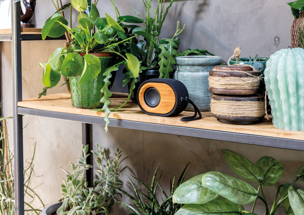 Bamboo X speaker - Slika 11