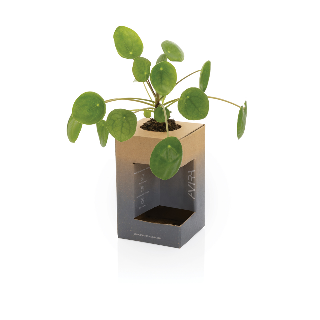 Avira Alya RCS Re-steel tumbler 300ML - Slika 18